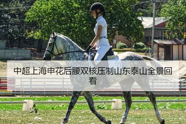 中超上海申花后腰双核压制山东泰山全景回看